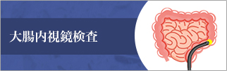 宇都宮市のひらしま胃腸・内科の大腸内視鏡検査についてはこちら