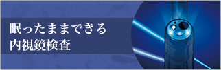 宇都宮市のひらしま胃腸・内科では苦痛の少ない、眠ったままできる内視鏡検査を行っております。詳細はこちら