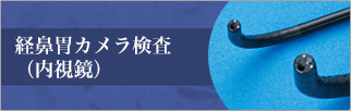 宇都宮市のひらしま胃腸・内科の経鼻胃カメラ検査についてはこちら