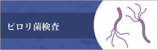 宇都宮市のひらしま胃腸・内科で行うピロリ菌検査の詳細はこちら